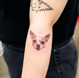 Capture the loyalty and love of man's best friend with this stunning illustrative tattoo by Juliany Braga.