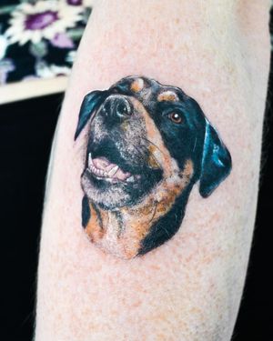 Get a stunning & lifelike tattoo of your beloved dog on your forearm. Expertly done by Juliany Braga, a master in realism & illustrative styles.
