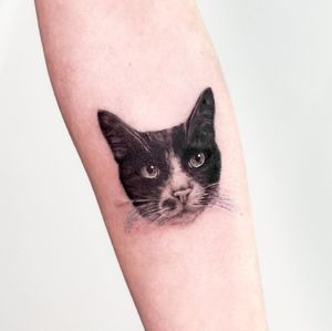 Capture the beauty of a feline friend with this stunning realistic cat tattoo by artist Juliany Braga.