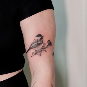 Beautiful illustrative tattoo on upper arm featuring a bird, tree, and leaf motif by Juliany Braga.