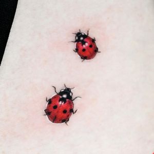 Explore the beauty of nature with this stunning ladybug tattoo by artist Juliany Braga. Perfect for your arm!