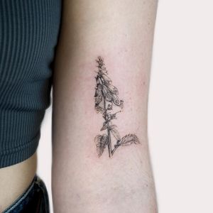 Get a stunning illustrative blackwork flower tattoo on your upper arm by talented artist Juliany Braga.