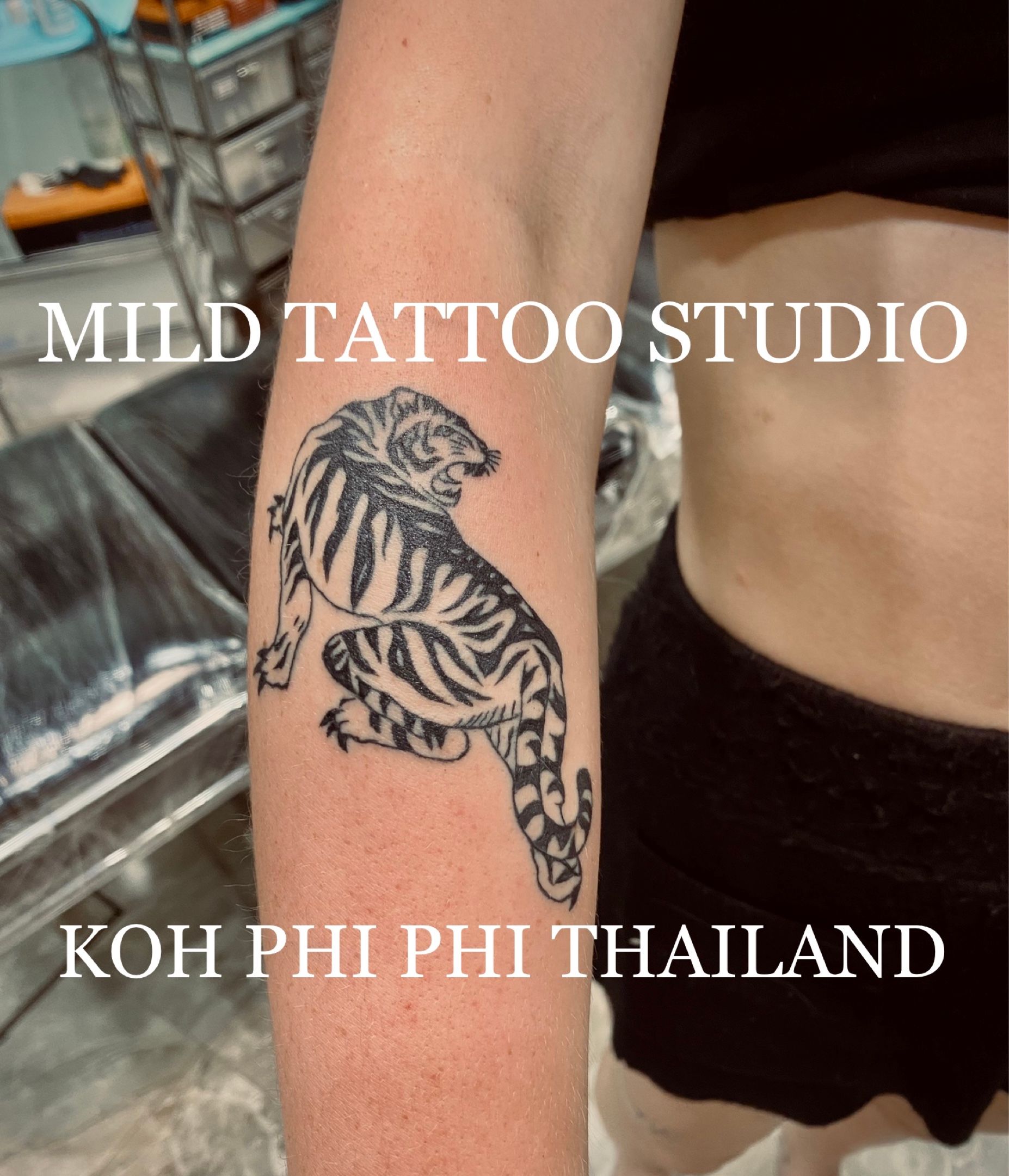 Tattoo uploaded by @MILD TATTOO STUDIO KOH PHI PHI THAILAND • #tiger  #tigertattoo #tattooart #tattooartist #bambootattoothailand #traditional  #tattooshop #at #mildtattoostudio #mildtattoophiphi #tattoophiphi  #phiphiisland #thailand #tattoodo #tattooink ...