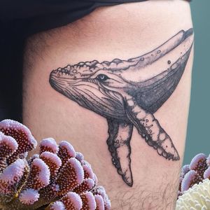 Experience the beauty of a blackwork whale tattoo by artist Maritana Quaresma. Perfect for those who love ocean creatures.