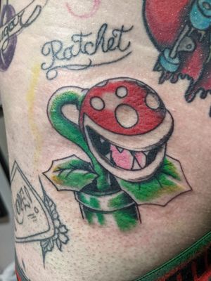 Piranha plant from Super mario