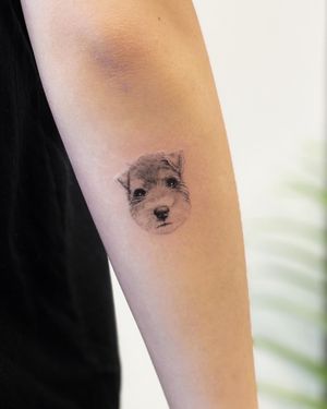 Micro puppy portrait