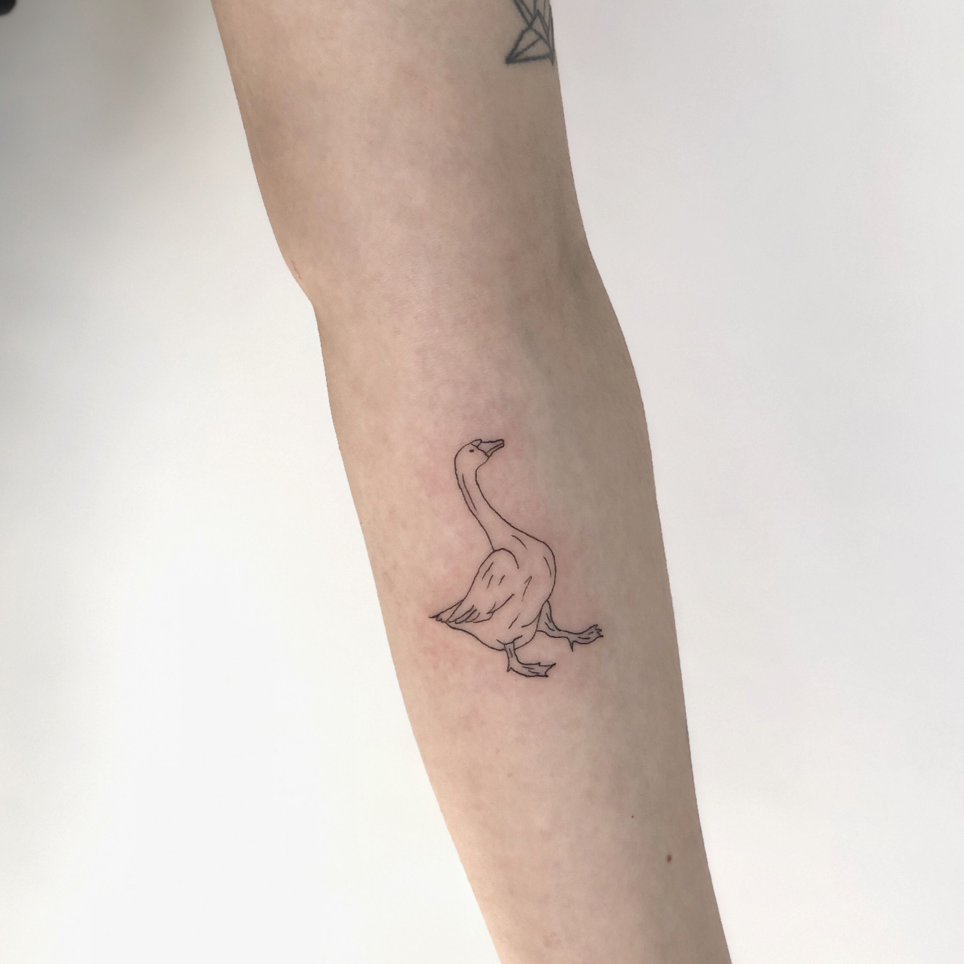 Cute little goose today in  Alchemy Tattoo Studio LLC  Facebook