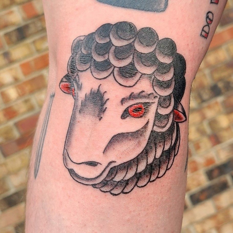 Buy Black Sheep Temporary Tattoo Online in India  Etsy