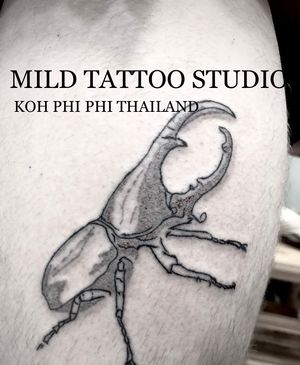 #dynastestattoo #tattooart #tattooartist #bambootattoothailand #traditional #tattooshop #at #mildtattoostudio #mildtattoophiphi #tattoophiphi #phiphiisland #thailand #tattoodo #tattooink #tattoo #phiphi #kohphiphi #thaibambooartis  #phiphitattoo #thailandtattoo #thaitattoo #bambootattoophiphiContact ☎️+66937460265 (ajjima)https://instagram.com/mildtattoophiphihttps://instagram.com/mild_tattoo_studiohttps://facebook.com/mildtattoophiphibambootattoo/Open daily ⏱ 11.00 am-24.00 pmMILD TATTOO STUDIO my shop has one branch on Phi Phi Island.Situated , Located near  the World Med hospital and Khun va restaurant