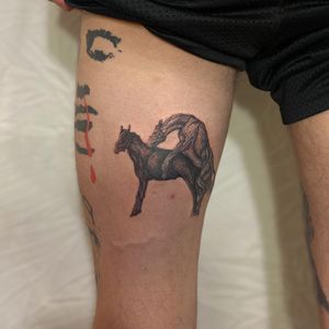 Beautiful horse tattoo by Amour.x, combining realism and illustrative style. Perfect for tattoo enthusiasts looking for detailed artwork.