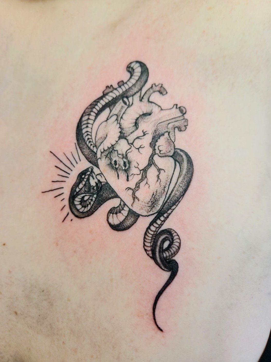 Tattoo uploaded by Olivia Workman • A snake representing Sol'ssis, the god  of the Yuan-Ti in a homebrew D&D campaign, biting a heart. My character in  this campaign had her heart magically