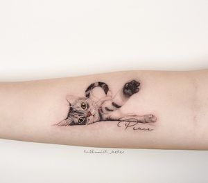 ［ Pet Tattoo］
.
.
.
.
#pettattoo #cattattoo #smalltattoos #cutetattoos #taichungtattoo #taiwantattoo #ink #cat #kitty #realism #realistic #animal
