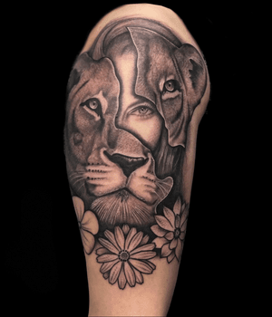 Lion Tattoo By David Dalzell 