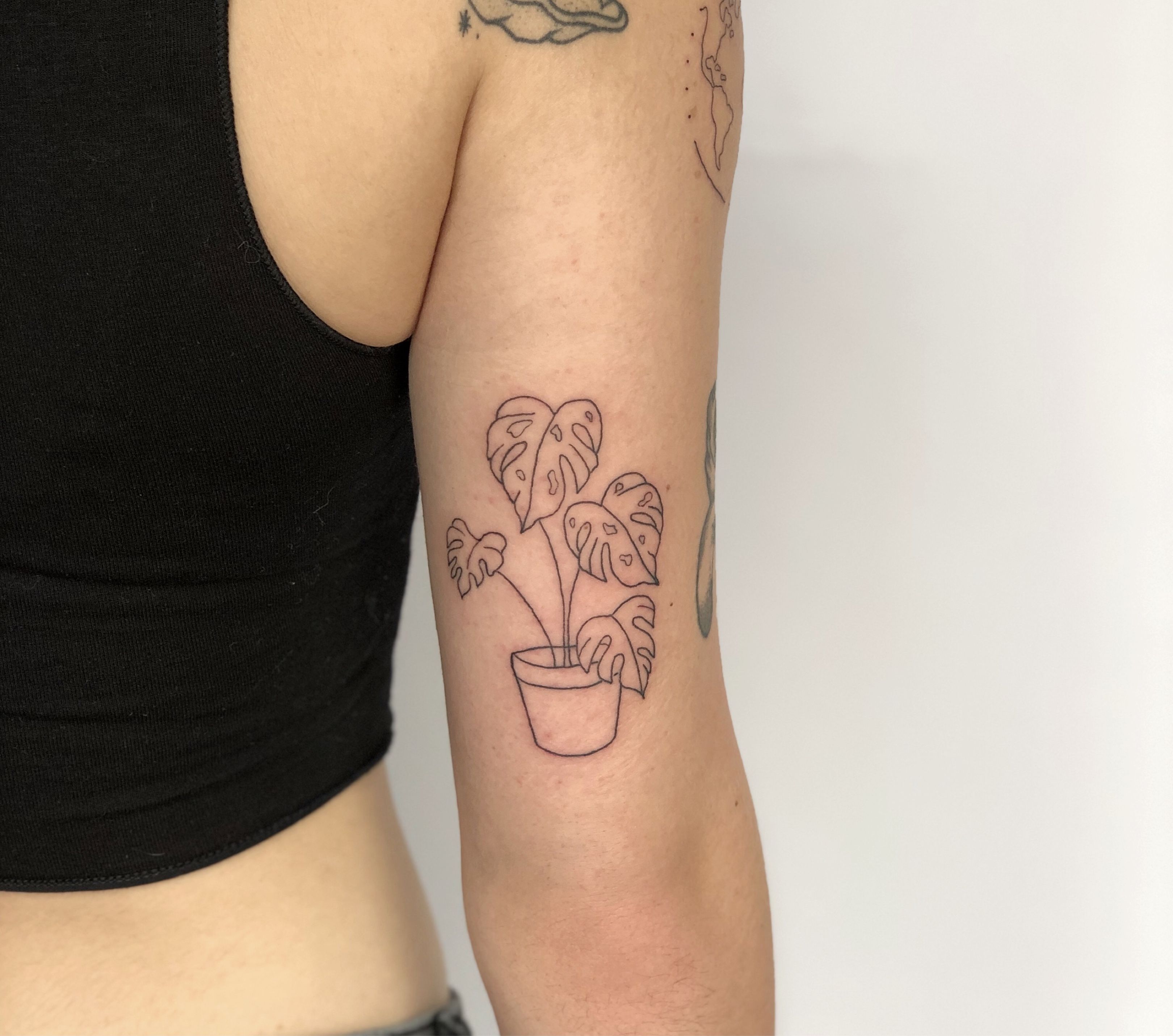 Small Monstera leaf on the forearm  Tattoogridnet