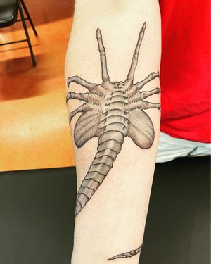 A wrap around face hugger done on a client of mine