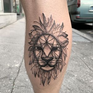 Geometric Sketch Lion