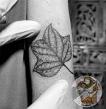 Minimalist Detailed Tulip Tree Leaf Tattoo for Emily.Thank you for the trust and laying like a rock.It's always been fun to do Minimalist Tattoo, it so much challenge to put all of those mini details in. ....#smalltattoo #hendjerin #finelinetattoo #minimalisttattoo #tattoo #leaftattoo #minimalistictattoo #naturetattoo #minimaltattoo #tattooart #lineworktattoo #dotworktattoo