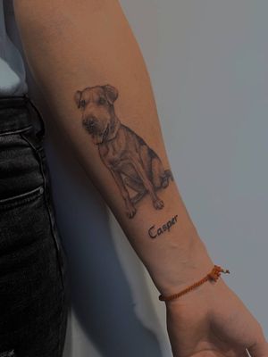 Pet by #julia_vean 
📍Zbrojnická 4, Plzeň
📞+420 605 526 443
.
.
.
.
.
#plzen#tetovaniplzen#veanfamily#veanczech #vean #veantattoo #tattoo #tattooplzen #julia_vean