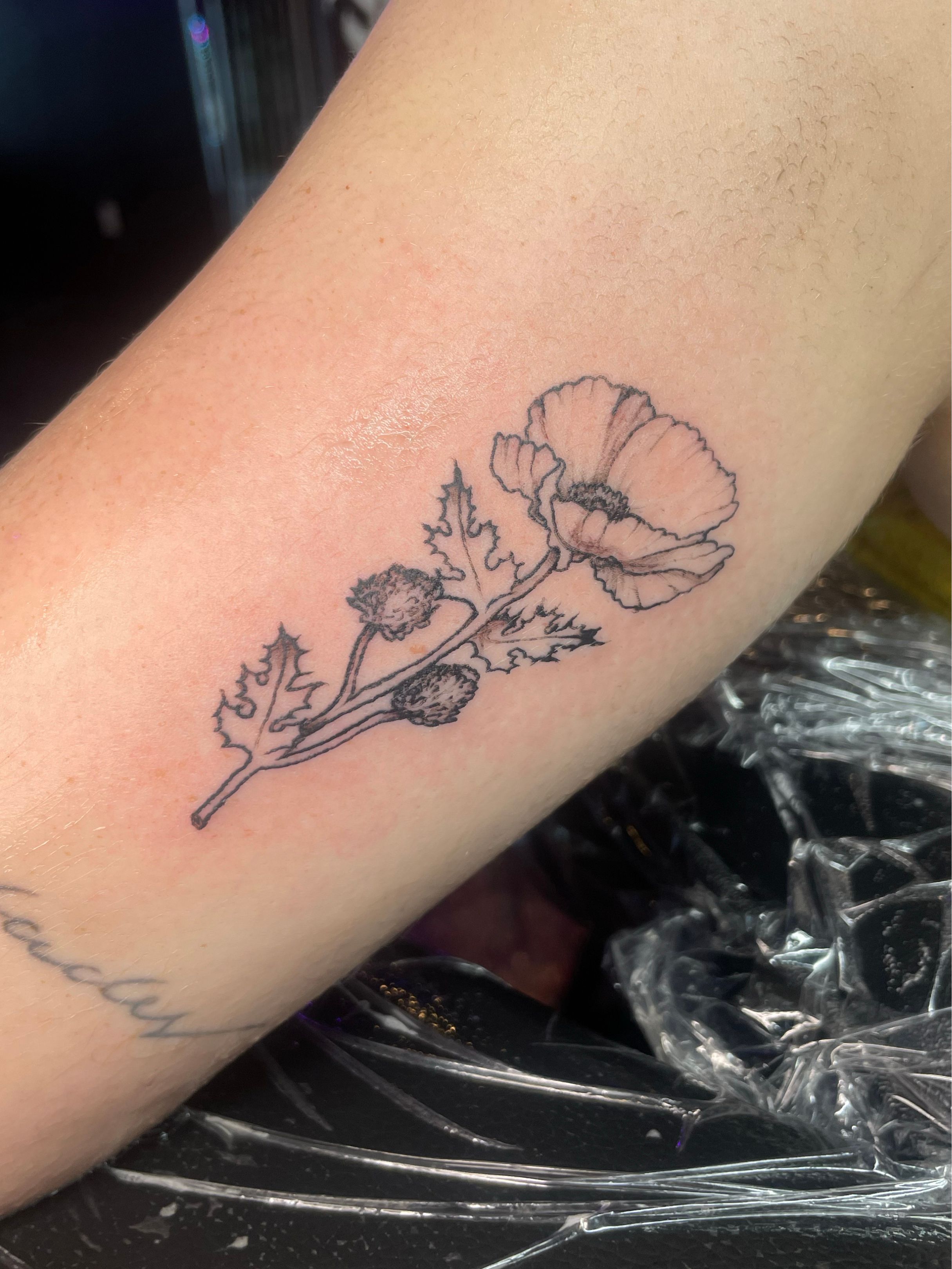 Poppy Flower Tattoos - Natasha Tsozik