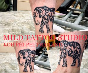 #elephant #elephantattoo #tattooart #tattooartist #bambootattoothailand #traditional #tattooshop #at #mildtattoostudio #mildtattoophiphi #tattoophiphi #phiphiisland #thailand #tattoodo #tattooink #tattoo #phiphi #kohphiphi #thaibambooartis  #phiphitattoo #thailandtattoo #thaitattoo #bambootattoophiphiContact ☎️+66937460265 (ajjima)https://instagram.com/mildtattoophiphihttps://instagram.com/mild_tattoo_studiohttps://facebook.com/mildtattoophiphibambootattoo/Open daily ⏱ 11.00 am-24.00 pmMILD TATTOO STUDIO my shop has one branch on Phi Phi Island.Situated , Located near  the World Med hospital and Khun va restaurant