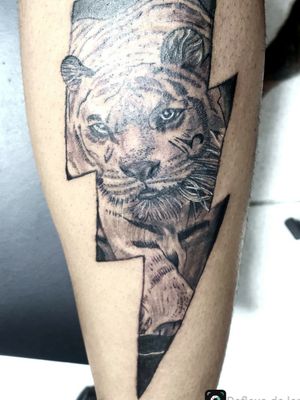 Tattoo tigre preto e branco 