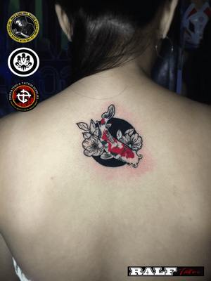 koi in black circle for my wife