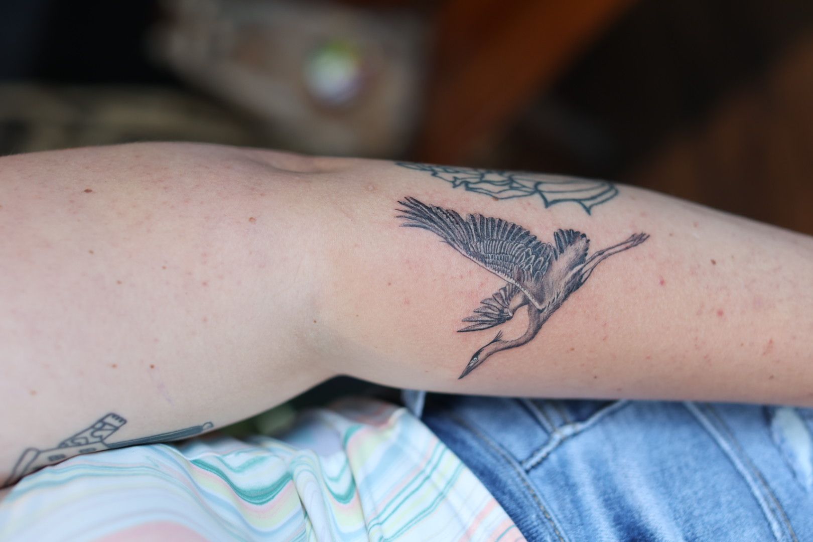 Tattoo tagged with small single needle animal tiny bird ifttt  little upper back doy medium size crane  inkedappcom