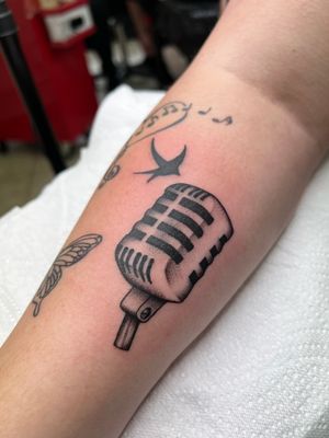 Microphone with a bird