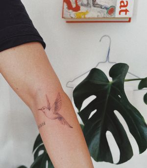 #colibri #violetear #bird #violeteartattoo #photorealistic #dotworktattoo #minimalism #minimaltattoo #blxckink #linework #fineline #tattoosandflash #darkartists #topclasstattooing #tattoodo #tttism #inkedgirls