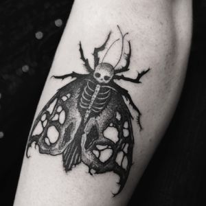 stockholm, sweden, dark art, custom, moth, skeleton