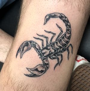Fineline scorpion