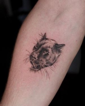 Experience the fierce beauty of a blackwork panther tattoo on your forearm by the talented artist Oscar Jesus.