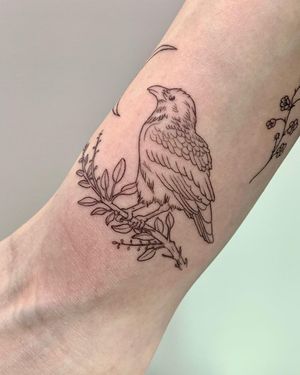 Elegant and detailed illustrative tattoo featuring a bird perched on a tree by the talented Holly Hawk.