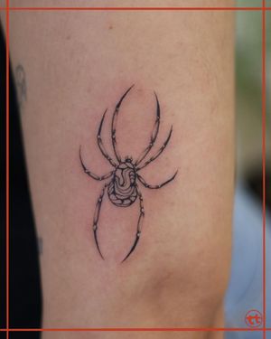 Get a stunning blackwork spider tattoo on your upper arm by talented artist Tianna. A unique and captivating design!