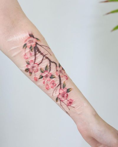 Get a stunning illustrative cherry blossom forearm tattoo by Cerf, blending delicate florals with vibrant watercolors.
