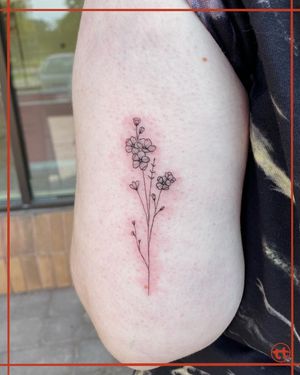 Elegant fine line tattoo featuring a beautiful flower and sprig design by artist Tianna. Perfect for a subtle and feminine touch.