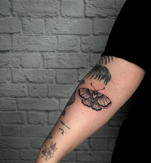 Beautiful blackwork butterfly tattoo on forearm by Jenna Jeep. Perfect blend of artistry and style.