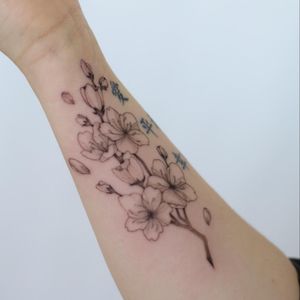 Beautiful blackwork flower tattoo on forearm by Yasmin Clara. Detailed and unique design for a timeless look.