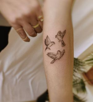 Elegantly detailed bird design by Palena, blending fine line work with illustrative style for a unique and stunning tattoo.