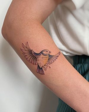 A stunning illustrative bird tattoo on the forearm, expertly designed by artist Irene Bogachuk.