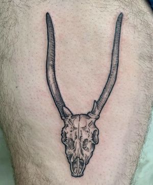 Bold blackwork skull with horns by the talented artist Holly Hawk, a unique and striking addition to your upper leg.