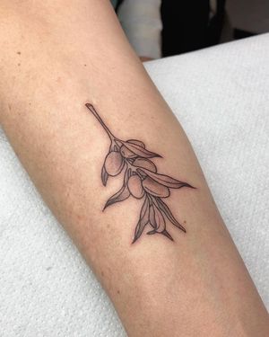 Experience the artistry of Stasy Galz with this blackwork and fine line tattoo featuring a detailed fruit and leaf design on your forearm.