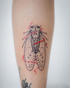 Explore Sasha Sunshine's unique blackwork rendition of a fly, expertly inked on the lower leg.