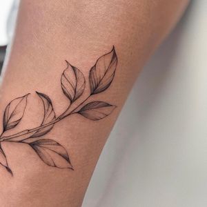 Get inked with this sleek blackwork illustration of a leaf by renowned artist Irene Bogachuk.