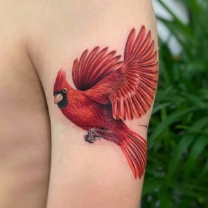 Adorn your upper arm with a stunning, lifelike bird tattoo created by the talented artist, Daniel Verdysh. A perfect blend of realism and illustrative style.