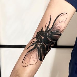 Beautiful blackwork fly tattoo on arm by Nicole Histon. Detailed and striking design.