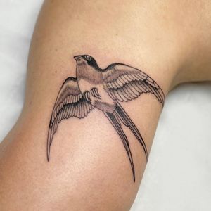 Elegant black and gray bird tattoo on upper arm, featuring a delicate swallow design by renowned artist Sophie Rose Hunter.