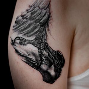 Unique upper arm tattoo by Nicole Histon featuring a bold blackwork claw pattern design.