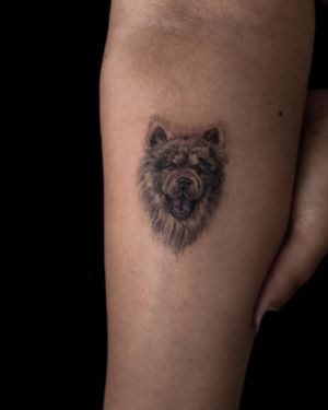 Unique blackwork and illustrative style tattoo of a dog by Nicole Histon, beautifully capturing the realism of man's best friend.