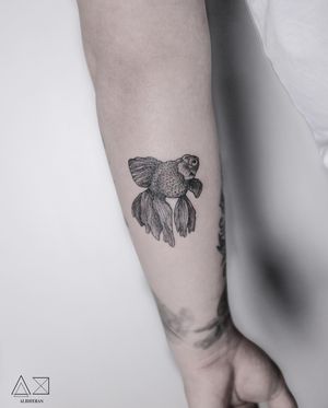 A stunning blackwork fish design by Ali Deeran, beautifully illustrated on the forearm.